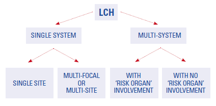 LCH is divided into two main groups